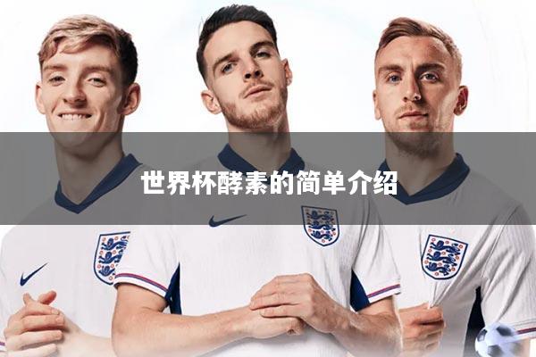 详细阅读:世界杯酵素的简单介绍 世界杯酵素的简单介绍