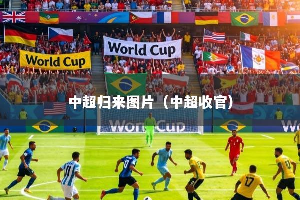 中超归来图片（中超收官）