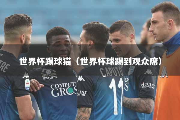 详细阅读:世界杯踢球猫(世界杯球踢到观众席) 世界杯踢球猫(世界杯球踢到观众席)