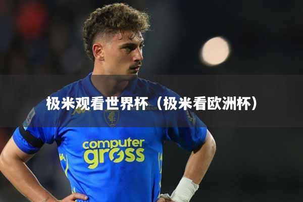 极米观看世界杯(极米看欧洲杯)