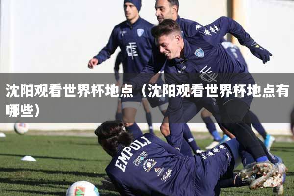 沈阳观看世界杯地点(沈阳观看世界杯地点有哪些)