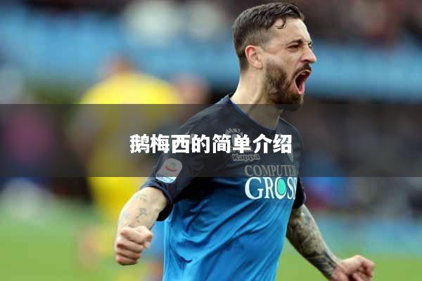 鹅梅西的简单介绍