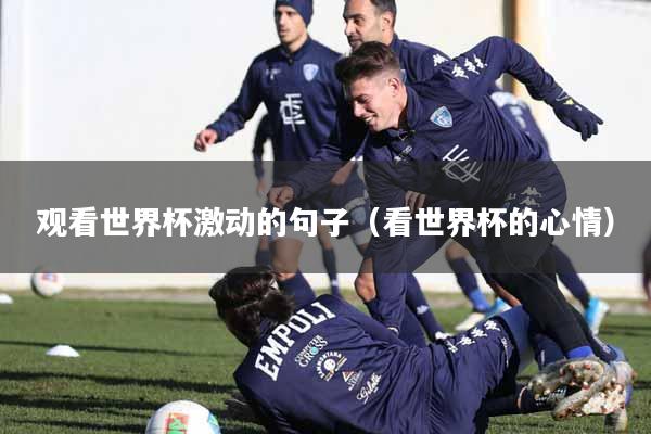 观看世界杯激动的句子（看世界杯的心情）