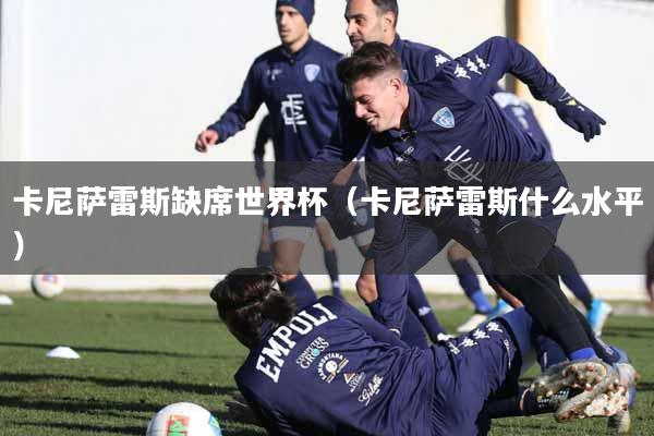 卡尼萨雷斯缺席世界杯（卡尼萨雷斯什么水平）