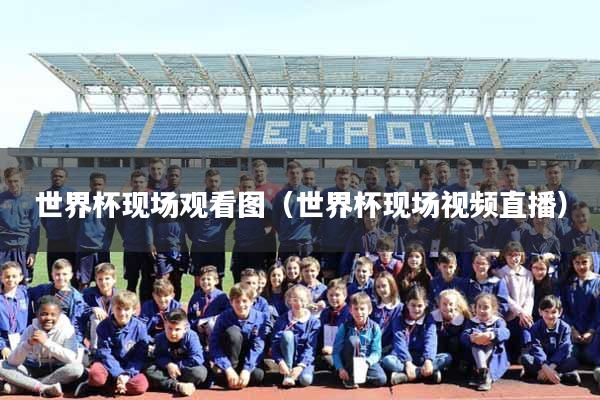 世界杯现场观看图（世界杯现场视频直播）