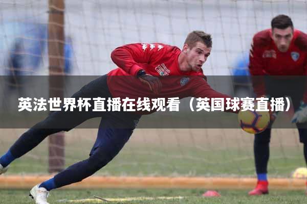 英法世界杯直播在线观看（英国球赛直播）