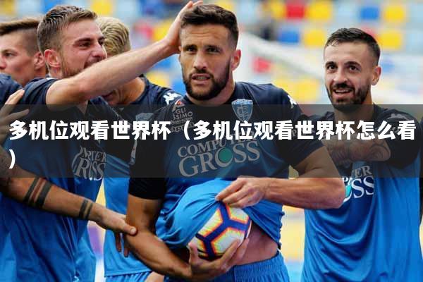 多机位观看世界杯（多机位观看世界杯怎么看）