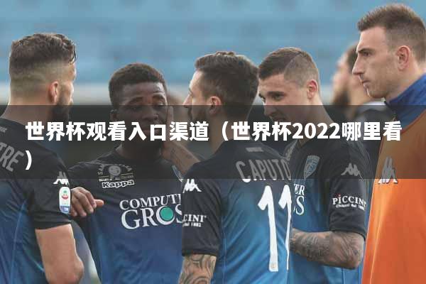 世界杯观看入口渠道（世界杯2022哪里看）
