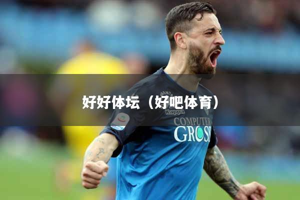 好好体坛(好吧体育)