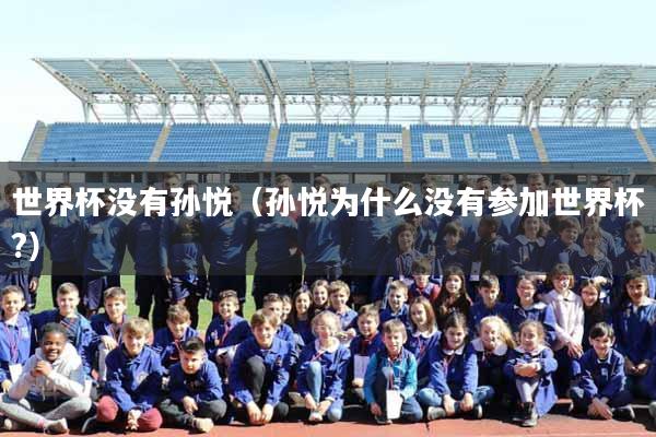 世界杯没有孙悦（孙悦为什么没有参加世界杯?）